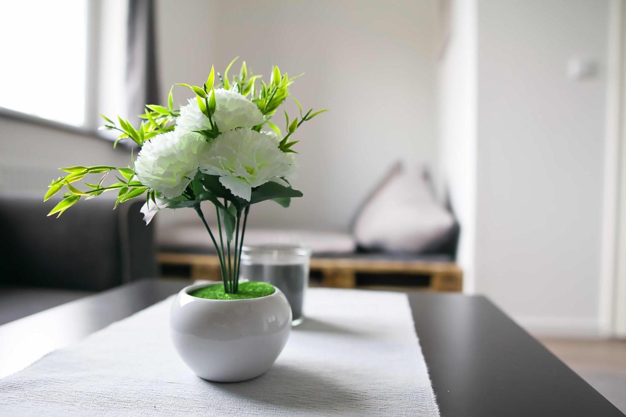 Heide Ferienwohnung Nord Schneverdingen Luaran gambar